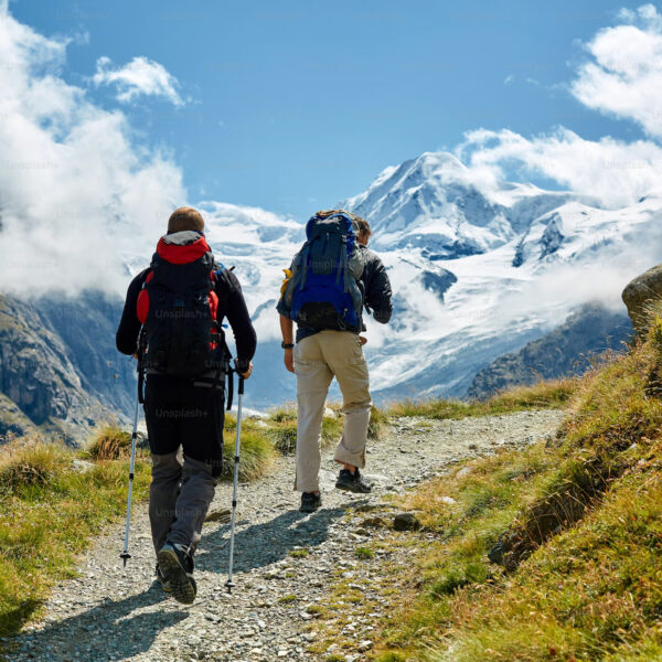 chardham yatra